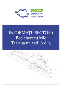 Informatii Sector 1 Becicherecu Mic Tarla nr.cad. A 843