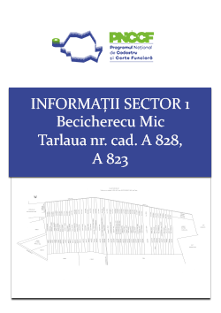 Informatii Sector 1 Becicherecu Mic Tarla nr.cad. A 828 A 823